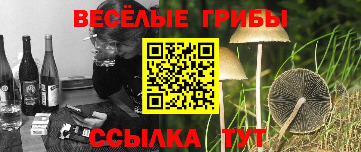 Галлюциногенные грибы MAGIC MUSHROOMS  Псилоцибиновые грибы Cubensis  Уссурийск  наркошоп  Вход с VPN 
